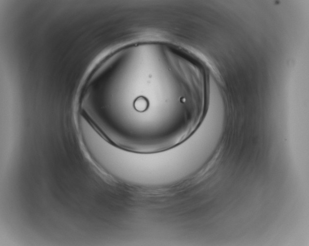 X0000113321342200909281159