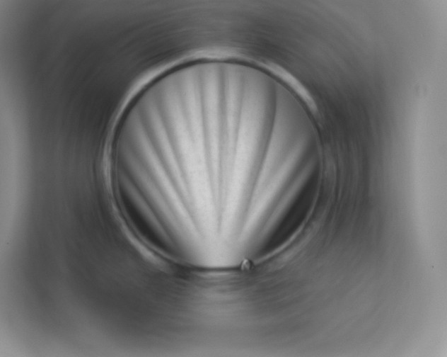 X0000113321343200909281159