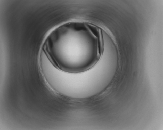 X0000113321344200909281159