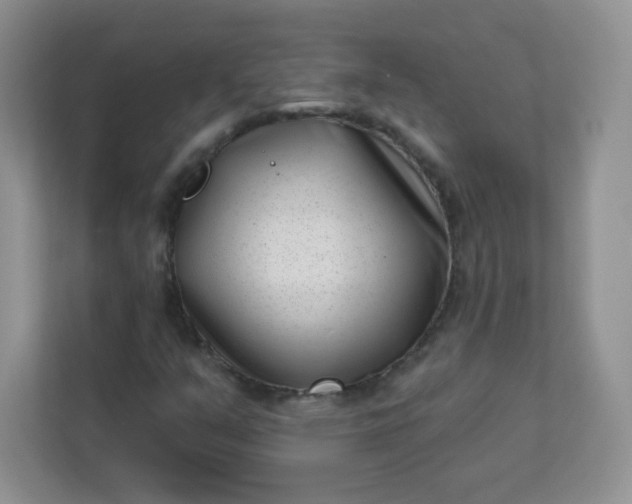 X0000113321351200909281159