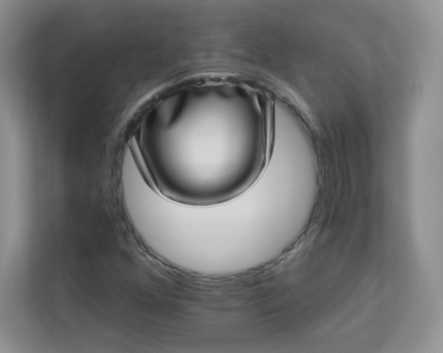 X0000113321352200909281159