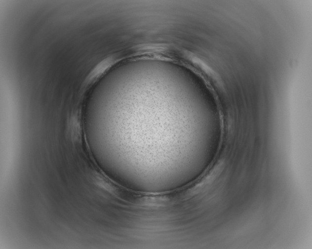 X0000113321354200909281158