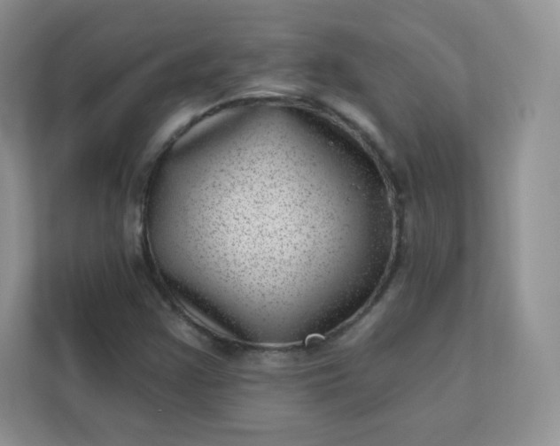 X0000113321355200909281158