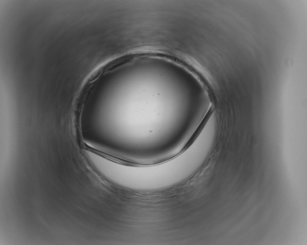 X0000113321356200909281158