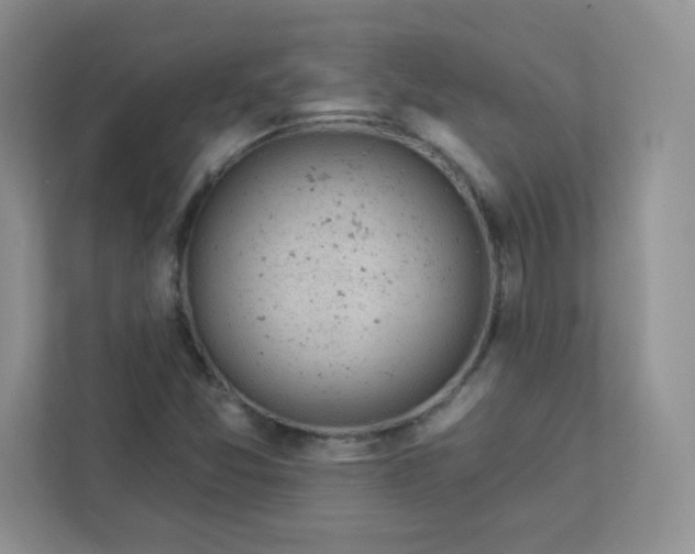 X0000113321357200909281158