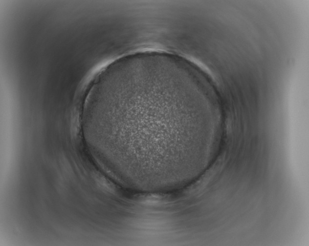 X0000113321359200909281158