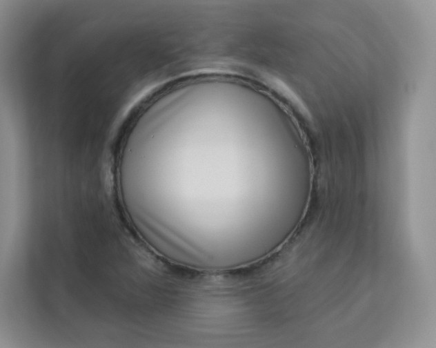 X0000113321360200909281158