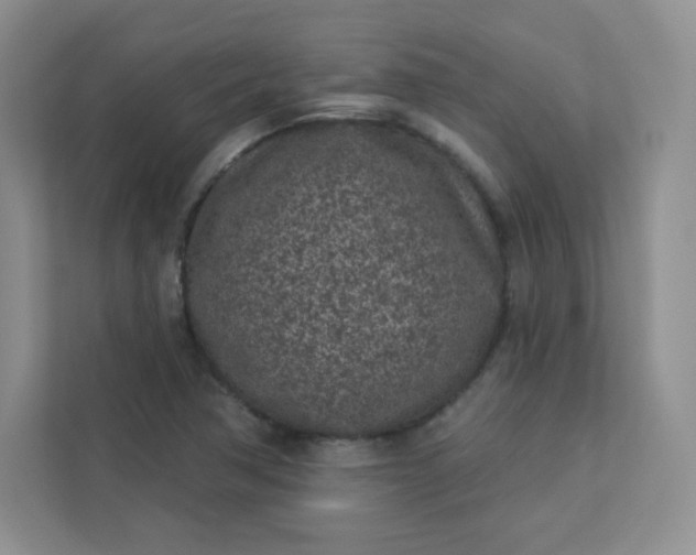 X0000113321362200909281158