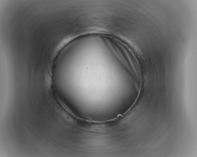 X0000113321363200909281158