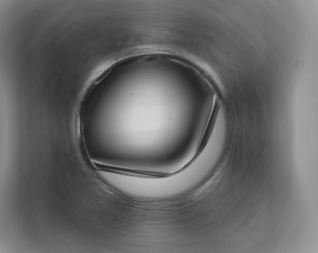 X0000113321365200909281158