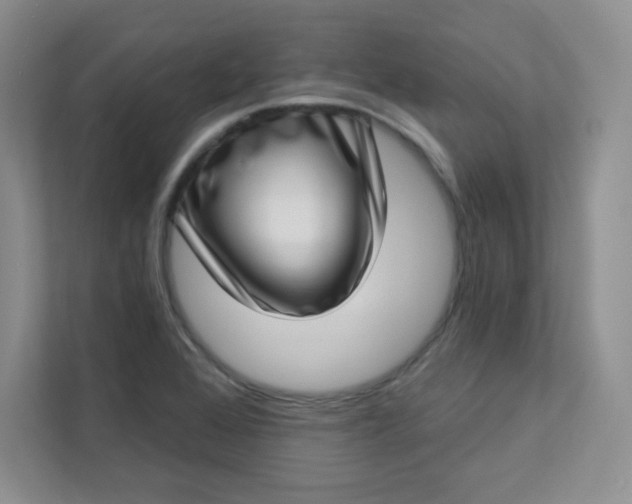 X0000113321368200909281158