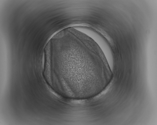 X0000113321369200909281158