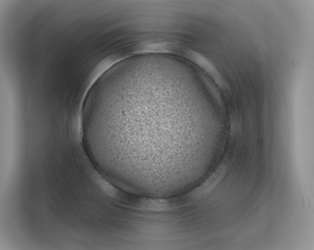 X0000113321370200909281158