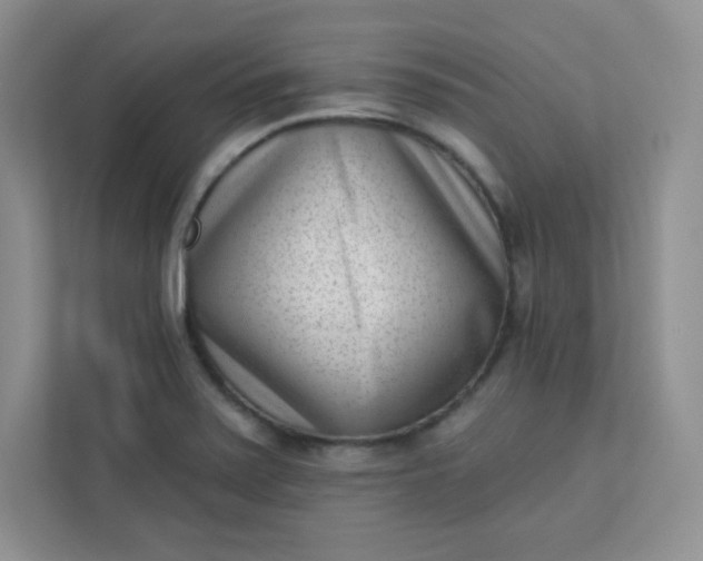 X0000113321371200909281158