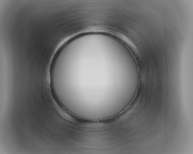 X0000113321372200909281158