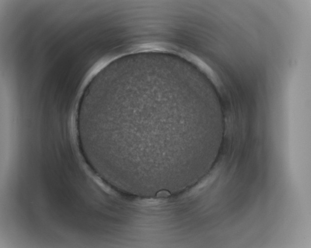 X0000113321373200909281158