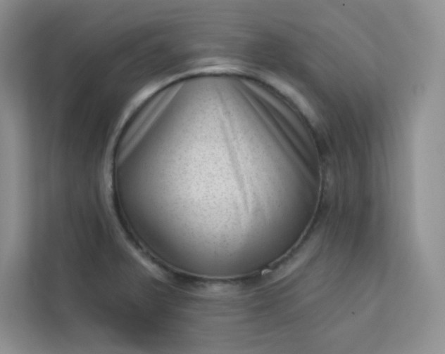 X0000113321375200909281158