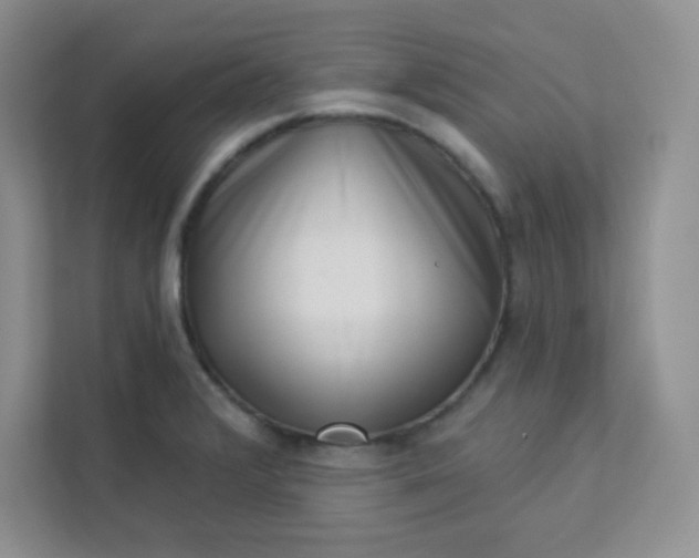 X0000113321376200909281158