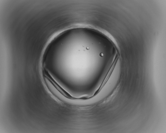 X0000113321381200909281158