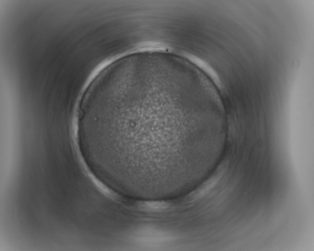 X0000113321383200909281158