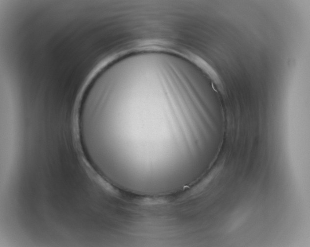 X0000113321384200909281158