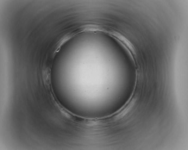 X0000113321385200909281158