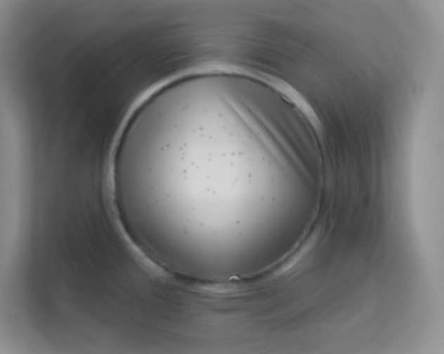 X0000113321388200909281158