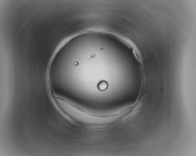 X0000113321389200909281158