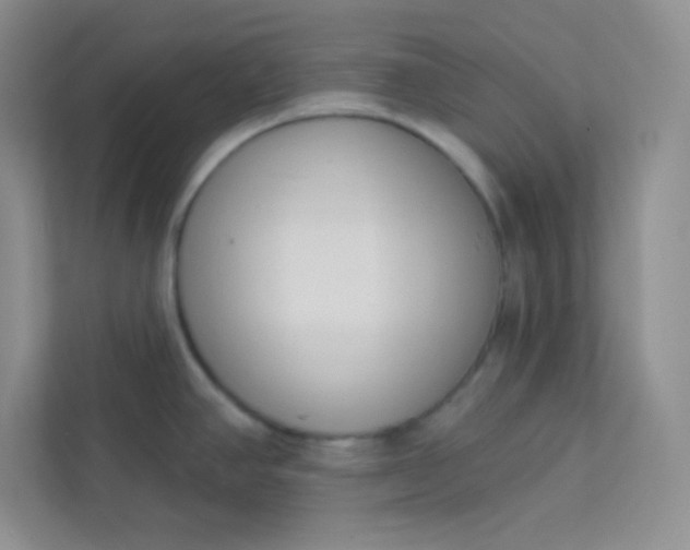 X0000113321390200909281158