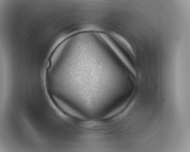 X0000113321391200909281158