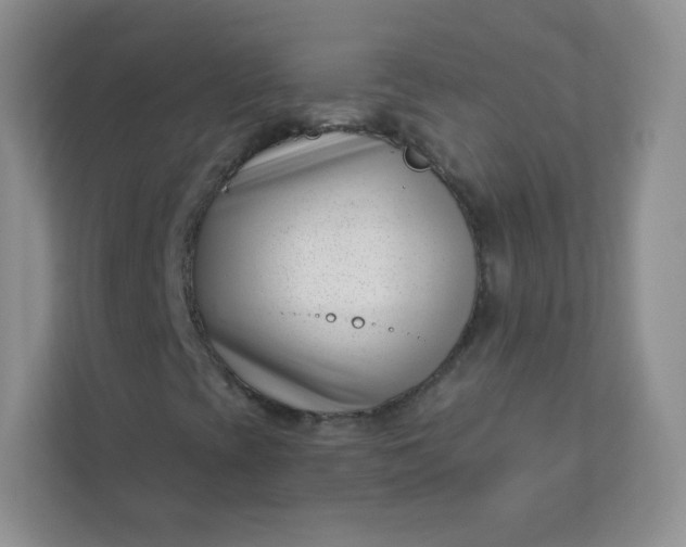 X0000113321393200909281157