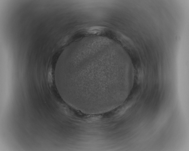 X0000113321394200909281157