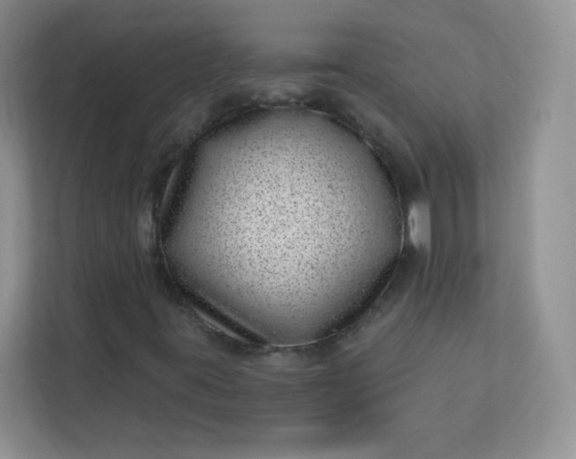 X0000113321395200909281157