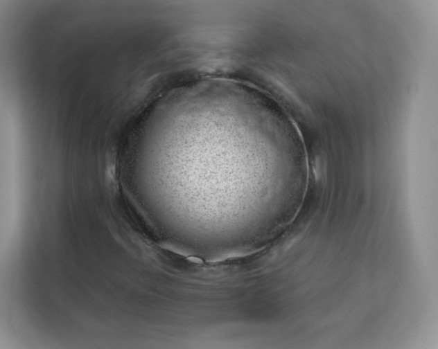 X0000113321396200909281157