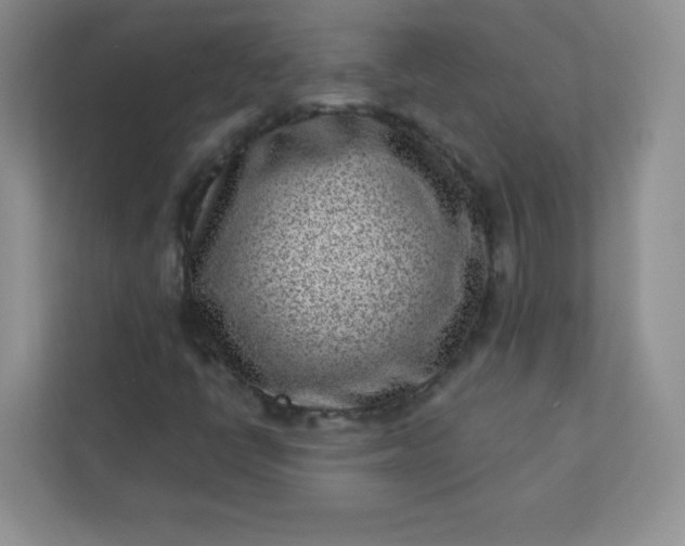 X0000113321398200909281157