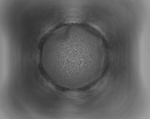 X0000113321399200909281157