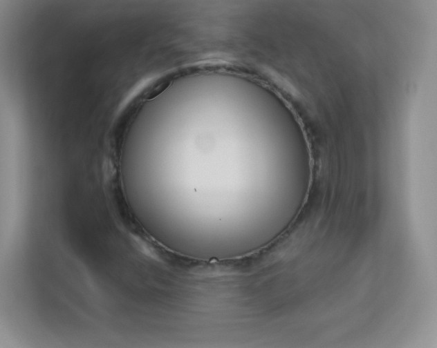 X0000113321400200909281157