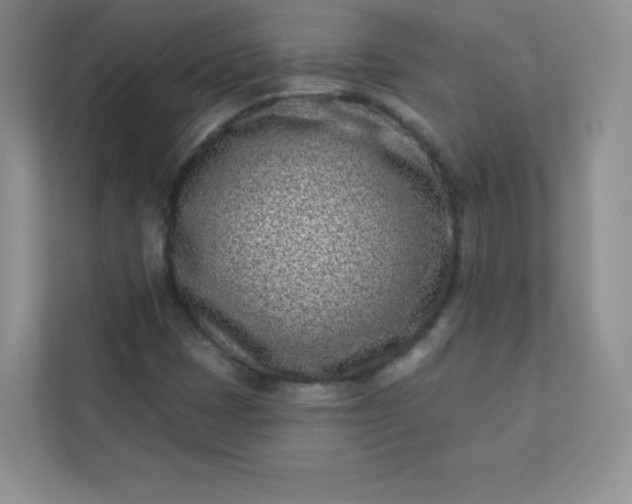 X0000113321401200909281157