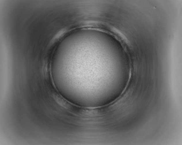 X0000113321403200909281158