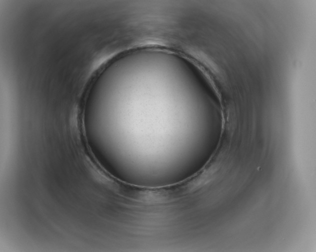 X0000113321404200909281158