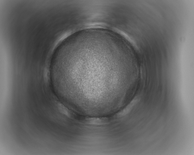 X0000113321405200909281158