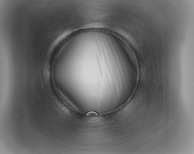 X0000113321406200909281158