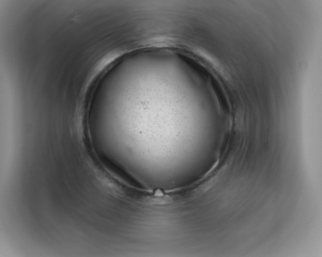 X0000113321410200909281158