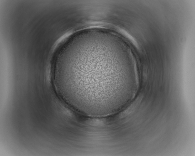 X0000113321411200909281158