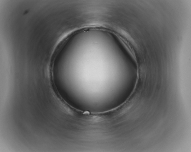 X0000113321412200909281158