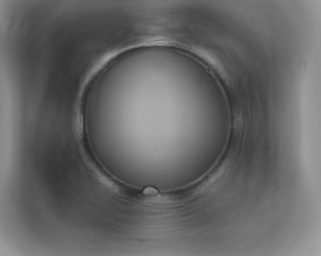 X0000113321414200909281158