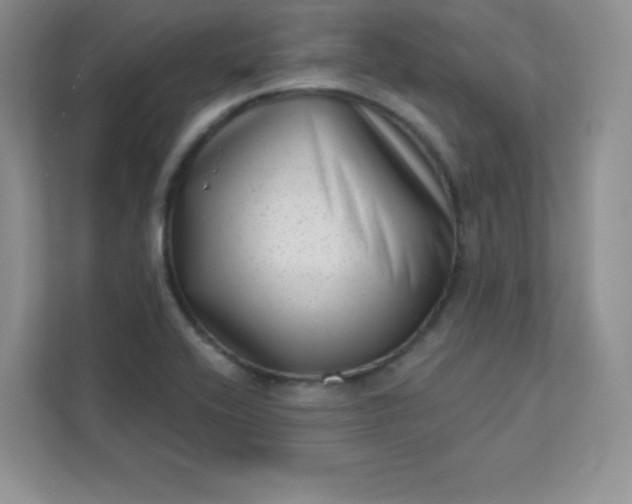 X0000113321416200909281158