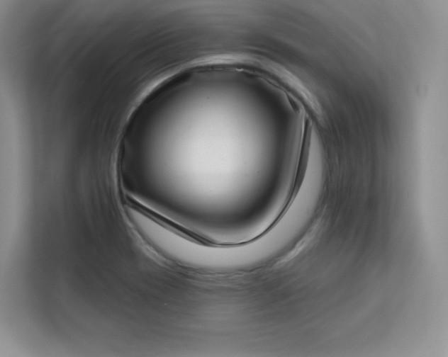 X0000113321417200909281158