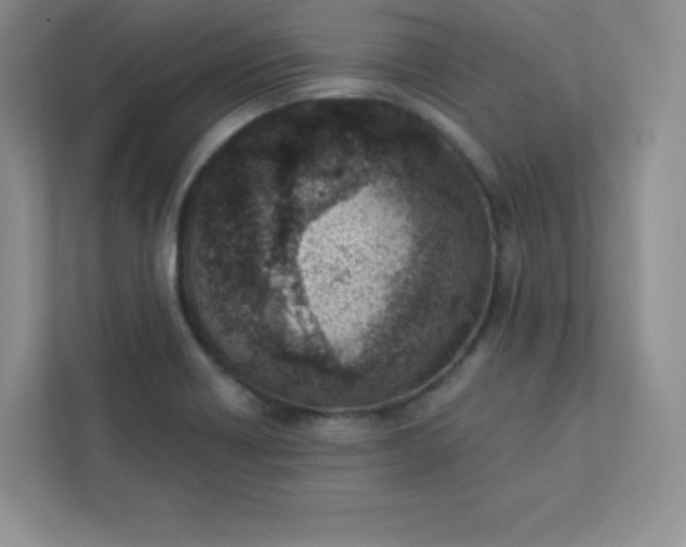 X0000113321418200909281158