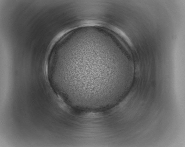 X0000113321419200909281158